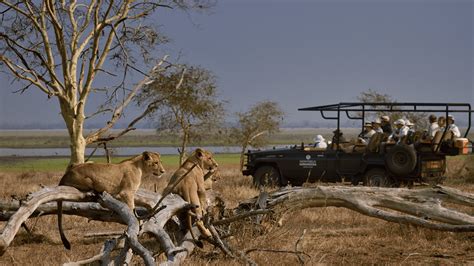 Visit Gorongosa | Gorongosa