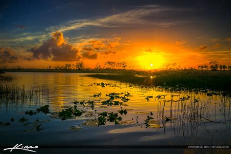 Florida Wetlands Sunset along the River