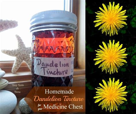 Homemade Medicinal Dandelion Tincture Remedy Recipe Homesteading - The Homestead Survival .Com ...