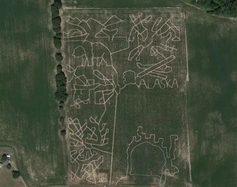 Designing a 2020 Themed Corn Maze, What Would It Look Like?