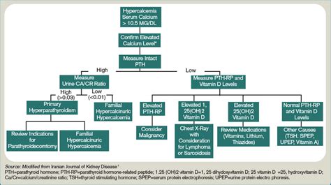 What Is the Best Treatment of an Adult Patient with Hypercalcemia of ...