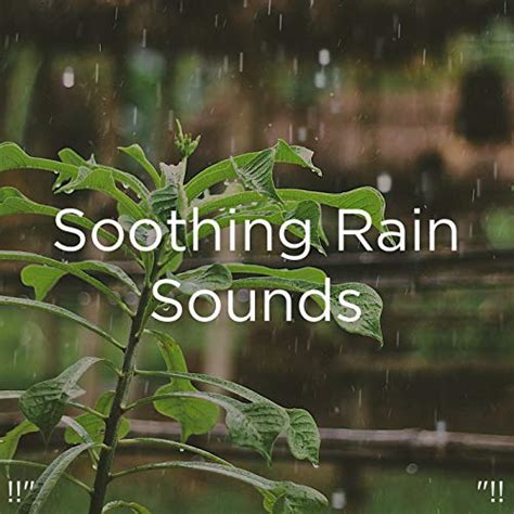 Soothing Rain Sounds "!! by Meditation Rain Sounds and Relaxing Rain ...