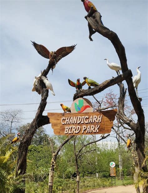 Bird Park in Chandigarh - Know the Attractions, Location, Timings ...