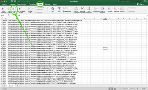 Import Formatting for Your Team Dashboard Export CSV File - Elite HRV Knowledge Base