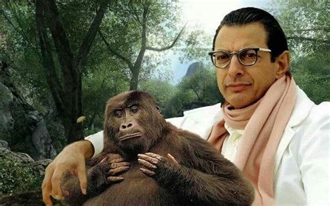 19 Jeff Goldblum Pictures That Almost Make Life Tolerable