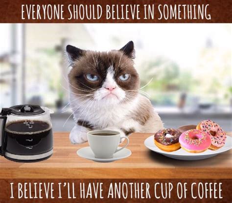 Grumpy Cat Morning ☕️ | Funny grumpy cat memes, Grumpy cat, Grumpy cat ...