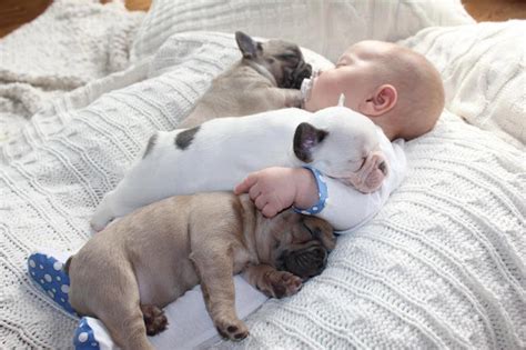 Kids baby pictures: cute baby sleeping with puppies