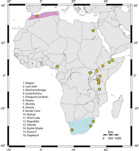 The Aurignacian Viewed from Africa