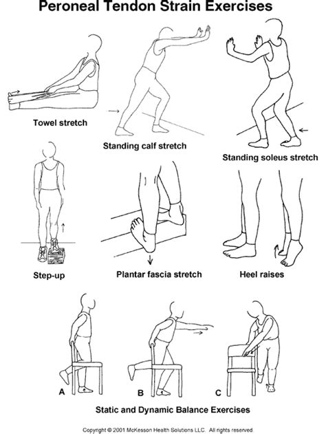 Sports Medicine Advisor 2003.1: Peroneal Tendon Strain Exercises: Illustration | Achilles ...