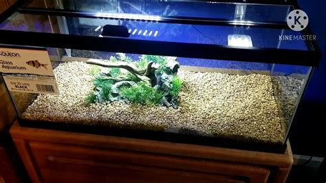 Setting up my 20 gallon long aquarium - YouTube