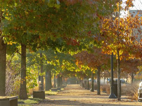 All Things Fall in Downtown — Downtown Lynchburg Association