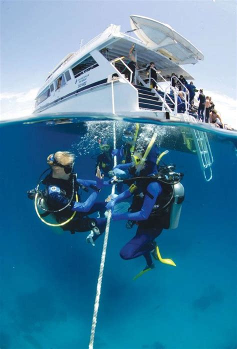 Port Douglas Reef Tours