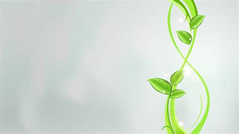 2560x1440 plants, green, abstract 1440P Resolution Wallpaper, HD ...