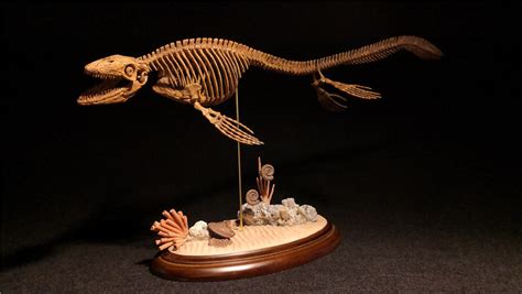 1/25 Mosasaurus Skeleton Model – Lana Time Shop