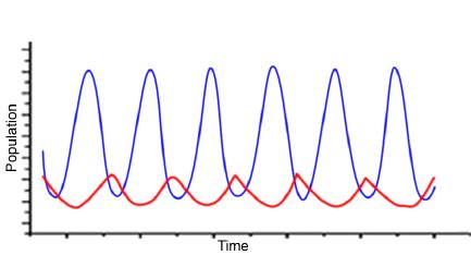 Cyclical behavior of the predator-prey relationship according to the ...