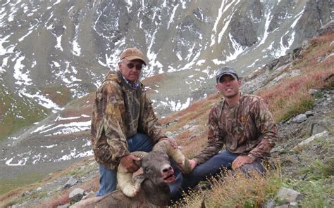 Bighorn Sheep Hunting Wyoming | Best of the West Outfitters