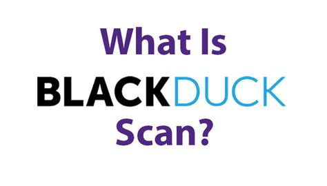 What Is Black Duck Scan? Black Duck Software Overview | Reasons To Choose It | Infoik