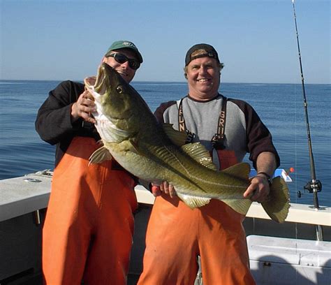 Cod Fishing Charters Gloucester Massachusetts