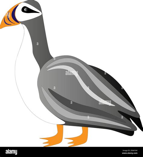 Puffin bird on a white background, children's drawing. Vector illustration Stock Vector Image ...