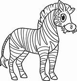 Zebra Animal Isolated Coloring Page For Kids 10993666 Vector Art At  sketch template