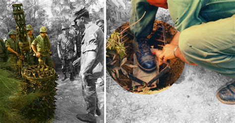 Vietnam Jungle: The Dangerous Snakes, Animals and Traps US Troops ...