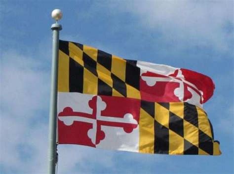 Um, Actually Maryland Has the BEST State Flag