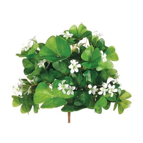 Shamrock plant - deals on 1001 Blocks