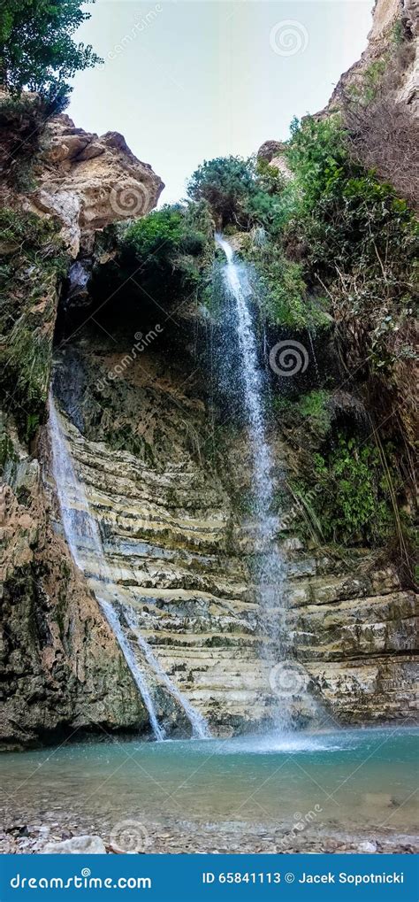 En Gedi Nature Reserve and National Park, Israel Stock Image - Image of king, judean: 65841113