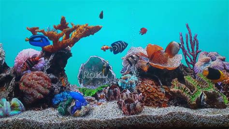 Roku Aquarium - YouTube