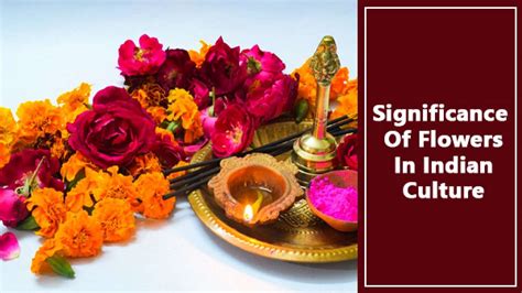 Significance Of Flowers In Indian Culture And Pooja Rituals: What Makes ...