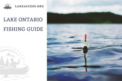 Lake Ontario Fishing Guide: Fish Species, Tips, Best Spots, and More ...