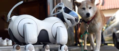 Future Robot Pets- End of The Road For Man’s Best Friend?