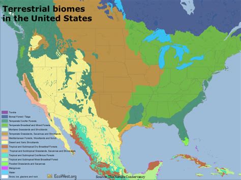 Viewing biodiversity through the ecoregional lens | EcoWest