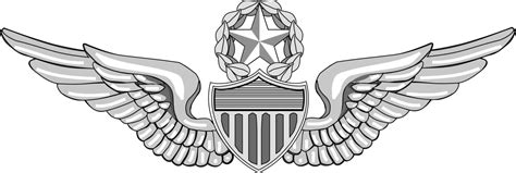 Free Military Badge Cliparts, Download Free Military Badge Cliparts png ...