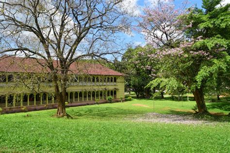 The University of Peradeniya Stock Photo - Image of flowers, clock: 83806534