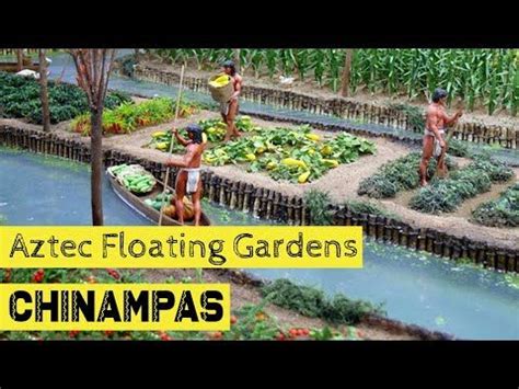 (276) Ancient Aztec floating gardens that fed 200 000 destroyed by ...