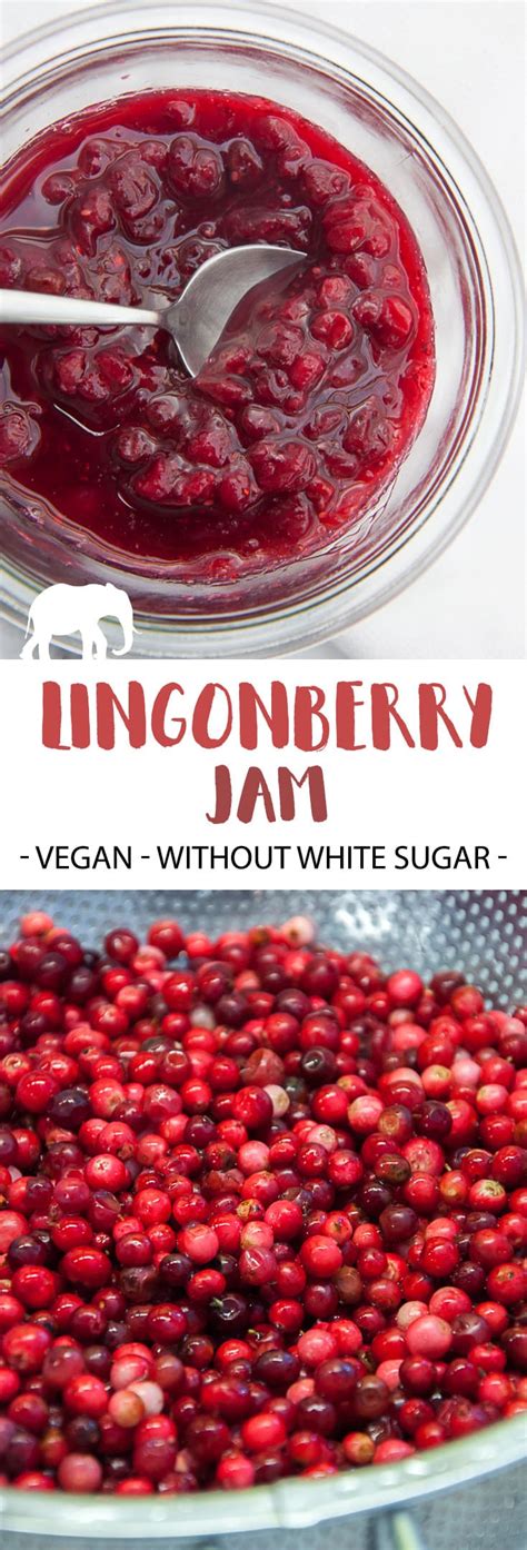 Vegan Lingonberry Jam Recipe | Elephantastic Vegan