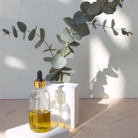 Eucalyptus Oil for Skin: The Complete Guide