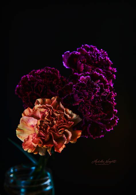 Carnation Bouquet on Behance