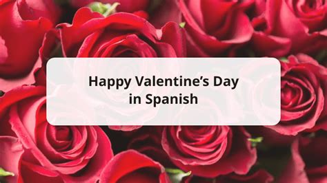 How to Say Happy Valentine’s Day in Spanish: Quotes & Phrases