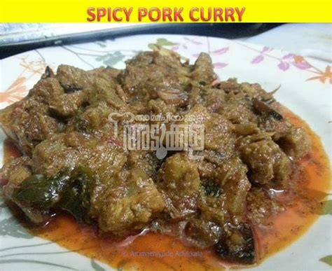 SPICY PORK CURRY