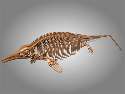 3d ichthyosaurus skeleton bones model