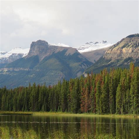 BUCK LAKE (Jasper National Park): All You Need to Know