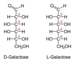 The structure of glucose and galactose are same except with regard toA ...