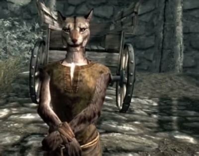 Skyrim: Khajiit - Orcz.com, The Video Games Wiki