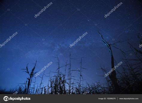 Night sky with the Milky Way over the forest and trees Stock Photo by ...