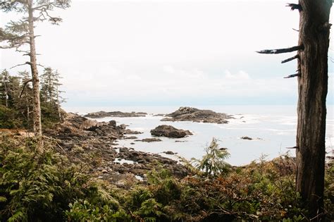 17 Incredible Tofino Hiking Trails: A Hiker's Guide to Tofino, Ucluelet and Pacific Rim National ...