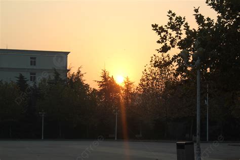 Silhouette Of Sunset Street View Park Background, Street, Sunset, Street View Background Image ...