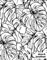 18 Free Coloring Pages Inspired By Scott Living Wallpaper sketch template