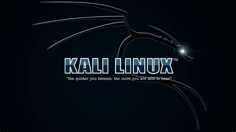 Kali Linux Hacker HD Wallpaper